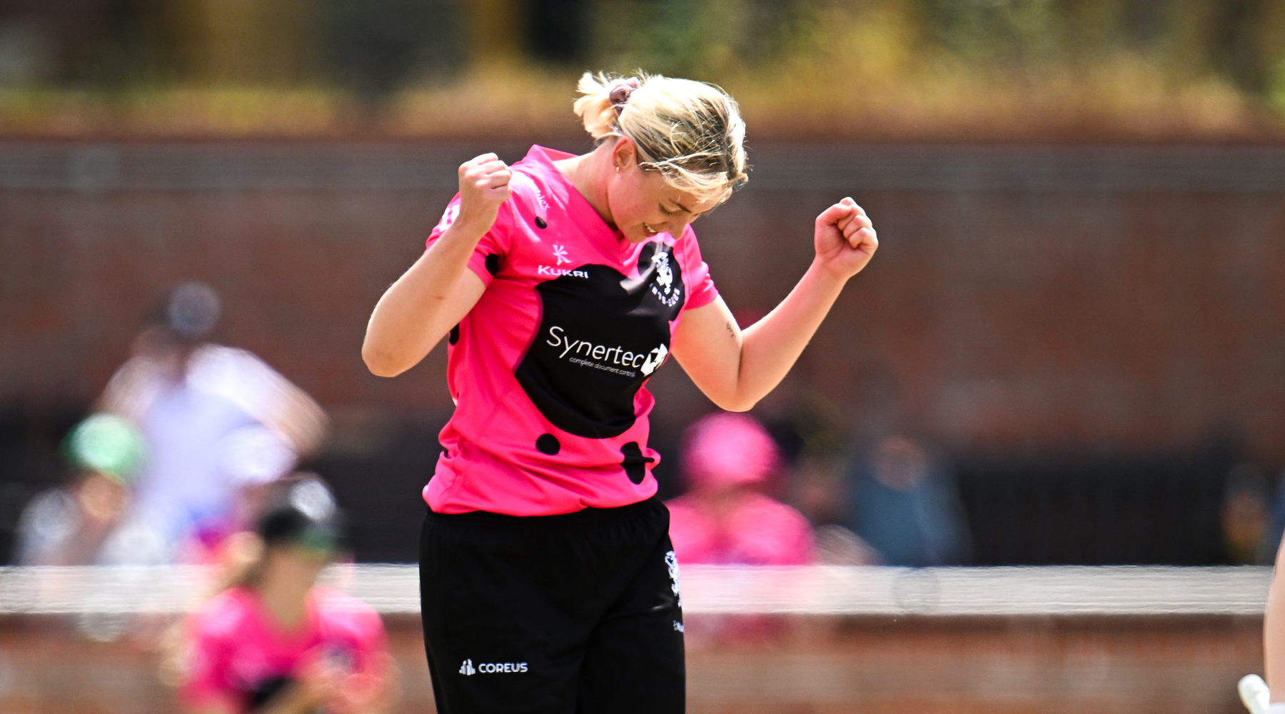 A wicket-taker